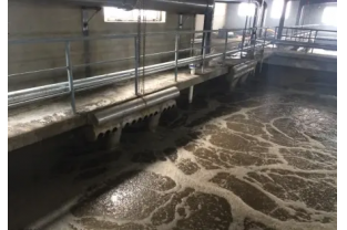 食品工業(yè)廢水的來(lái)源、特點(diǎn)及危害