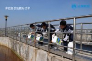 庫(kù)巴魯微生物技術(shù)在準(zhǔn)地表4類(lèi)水中的整體解決方案