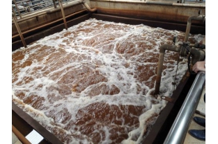 重金屬離子怎么總是超標(biāo)？這水沒法排了！